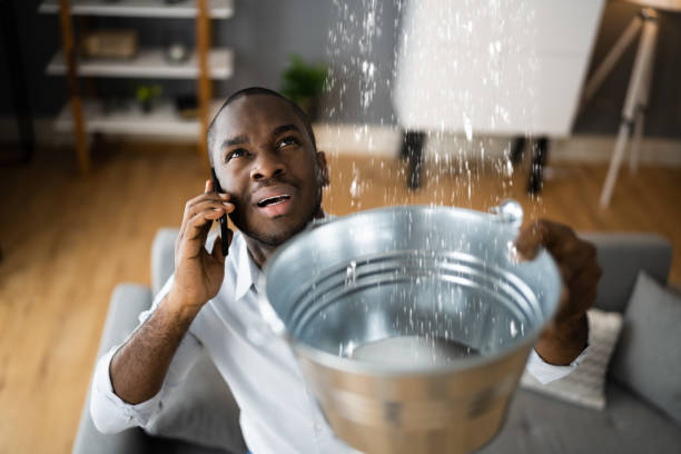 Best Water damage contractors near me  in Columbus, OH