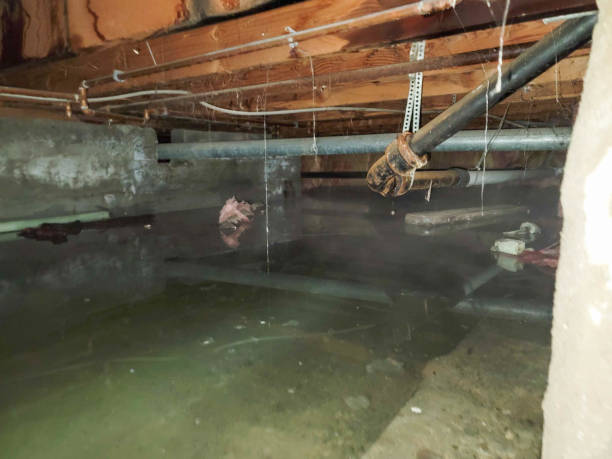 Best Sewage cleanup and water damage restoration  in Columbus, OH