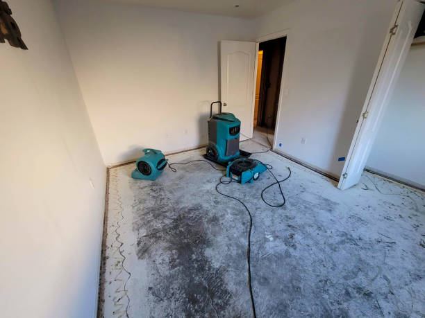 Best Professional water damage repair  in Columbus, OH
