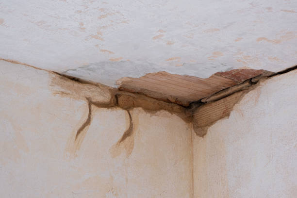 Best Flood damage cleanup  in Columbus, OH