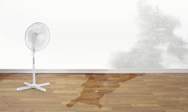 Best Residential water damage restoration  in Columbus, OH