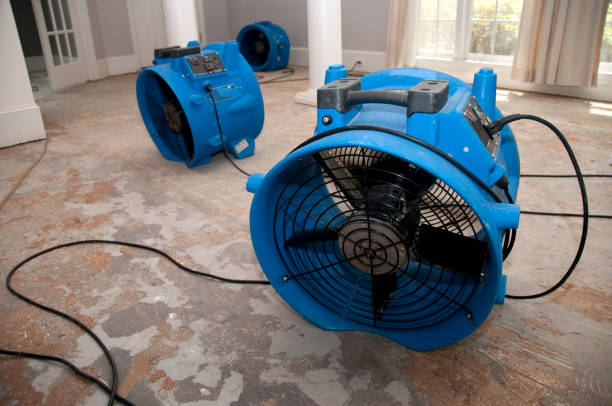 Best Local water damage restoration  in Columbus, OH
