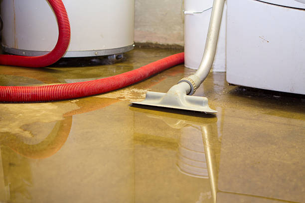 Best Ceiling water damage repair  in Columbus, OH