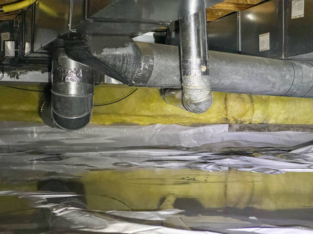 Best Mold removal after water damage  in Columbus, OH