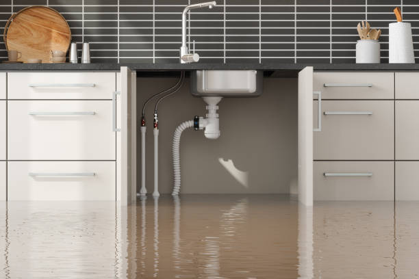 Best Flooded house restoration  in Columbus, OH