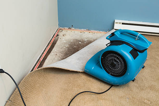 Best Water damage cleanup near me  in Columbus, OH